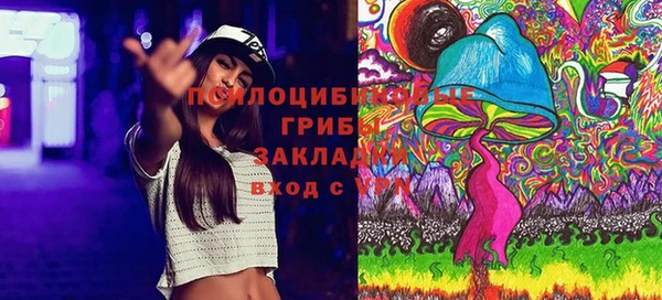 бошки Алексеевка