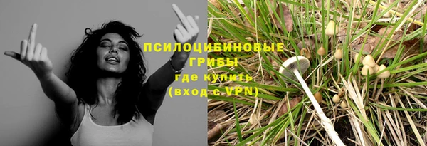 Альфа ПВП Алексин