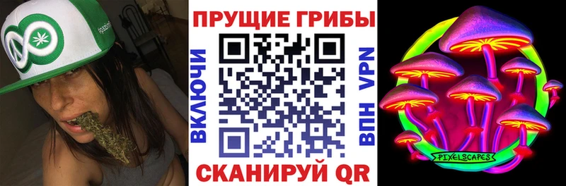 Псилоцибиновые грибы мицелий  blacksprut маркетплейс  Почеп 